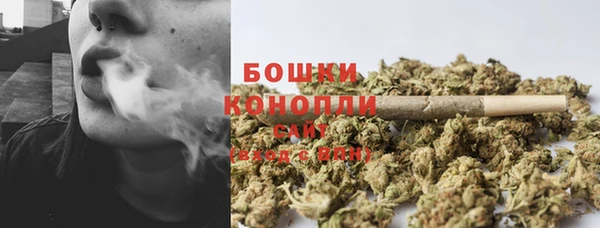 бошки Лабытнанги