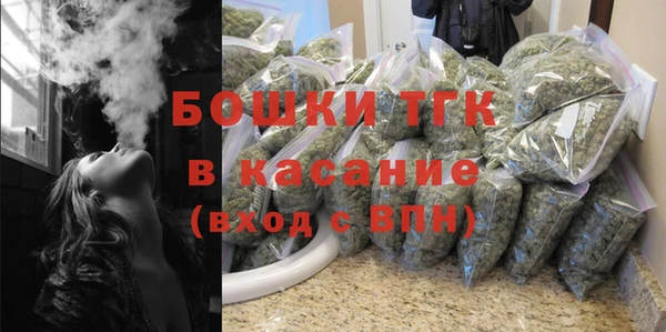 дмт Ладушкин