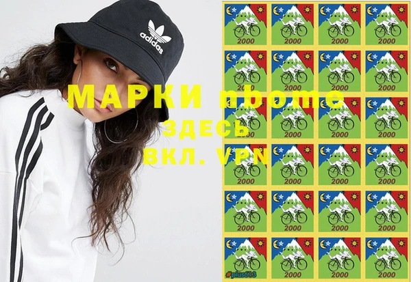 дмт Ладушкин