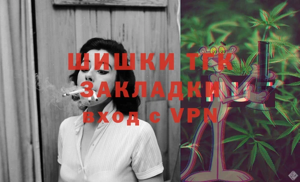 дмт Ладушкин