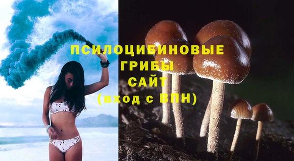 дмт Ладушкин