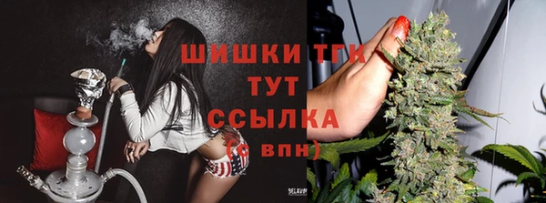 дмт Ладушкин