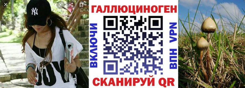 Псилоцибиновые грибы Cubensis  Купить где  Барабинск 